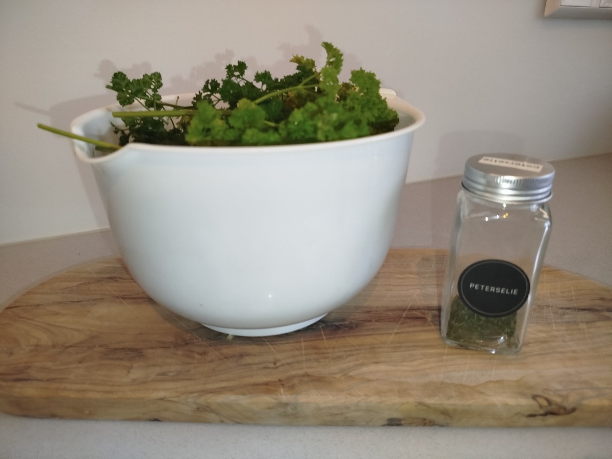 Peterselie drogen